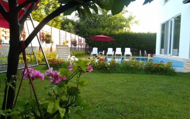 Villa NSB 2 by Dream of Holiday