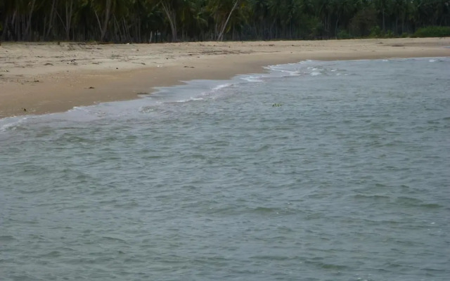 Reef Pasikudah