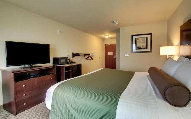 Cobblestone Inn & Suites - Steele
