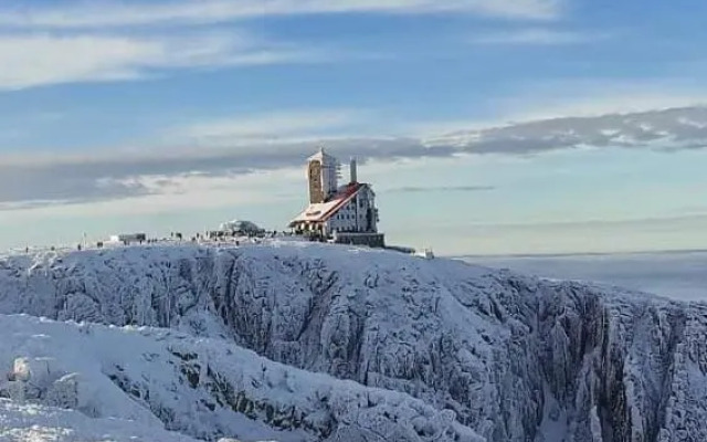 Apartament Nad wierzbami