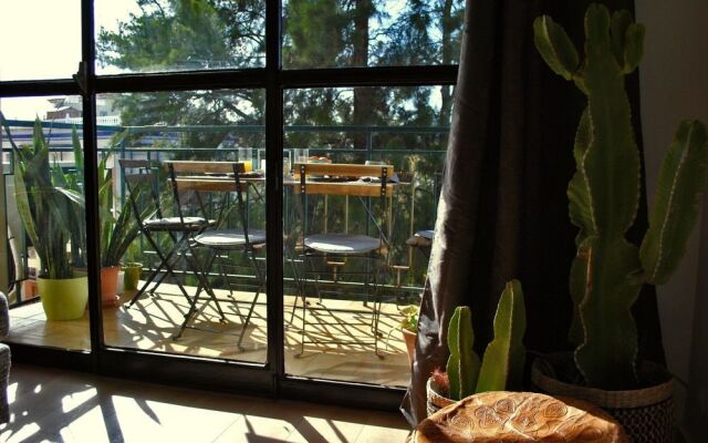 The Boho-Chic Oasis