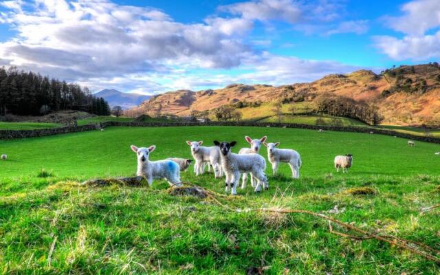 Grand At Grasmere