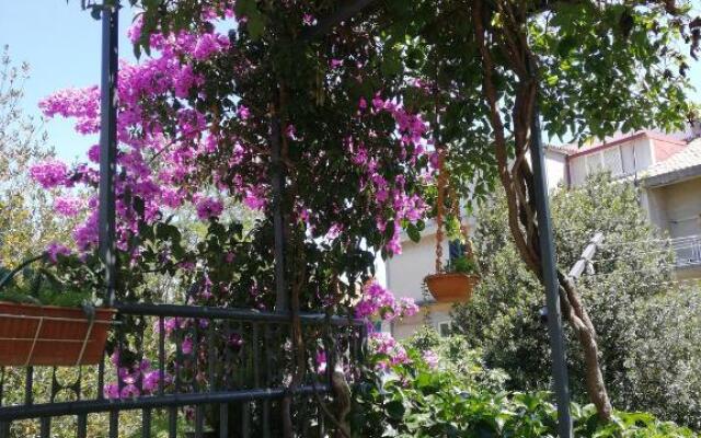Apartment Mirjana