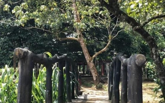 360 Rainforest