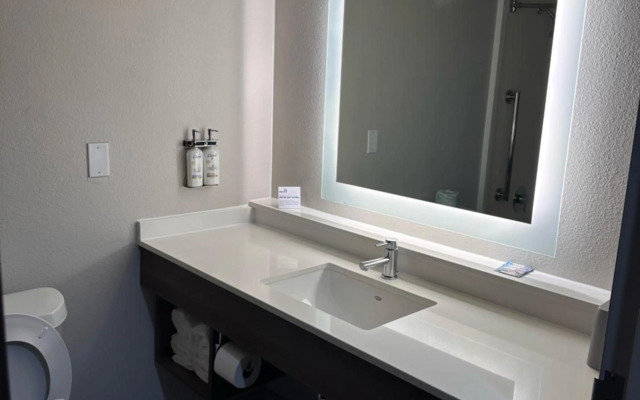 Holiday Inn Express Hotel & Suites Mesquite by IHG