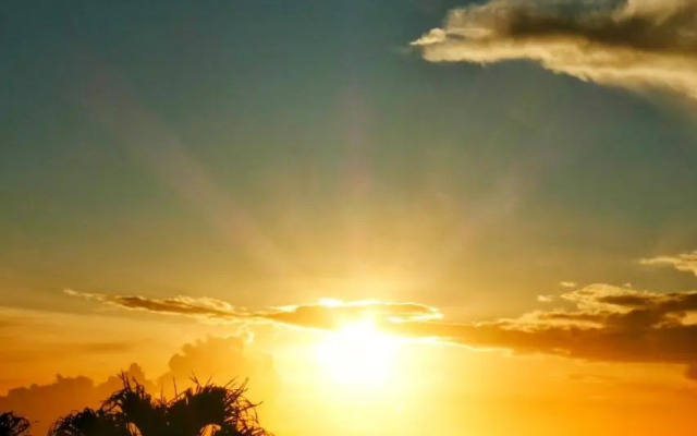 Studio Malacca et Malanga- Ô Cœur de Deshaies