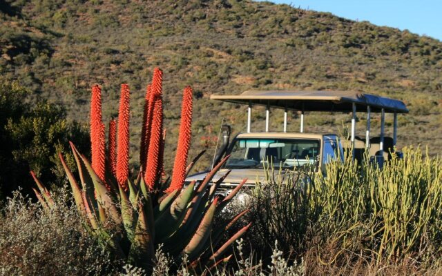 Madi Madi Karoo Safari Lodge