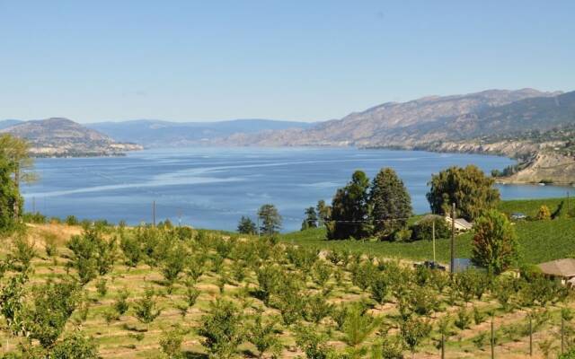 E'Laysa Guesthouse and Vineyard Retreat