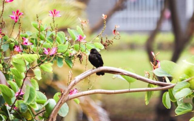 Huaqiao Collage Experts Hostel