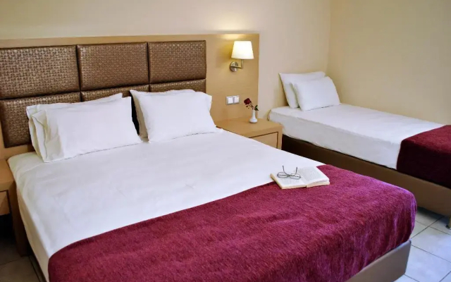 Hotel Plessas Palace