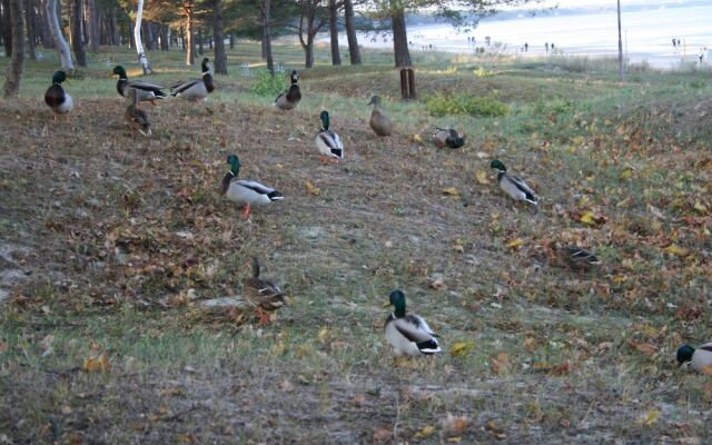 Villa Maria Wohnung 5