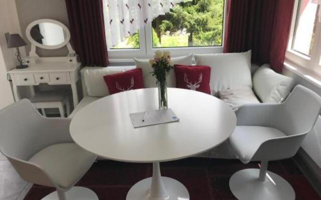 Ferienapartments Gohrisch Villa Schönblick