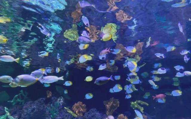 GTAll in Hotel (Taizhou Jiaojiang Wanda Plaza)