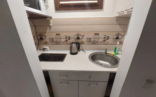 Tudor Apartment Universitate