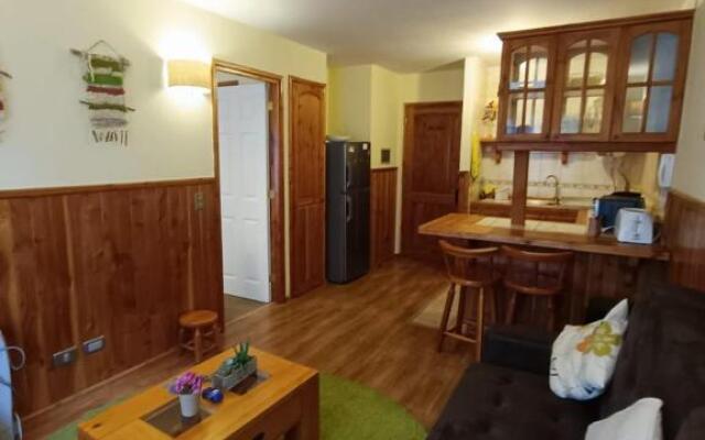 Departamento Parque Suizo Pucon