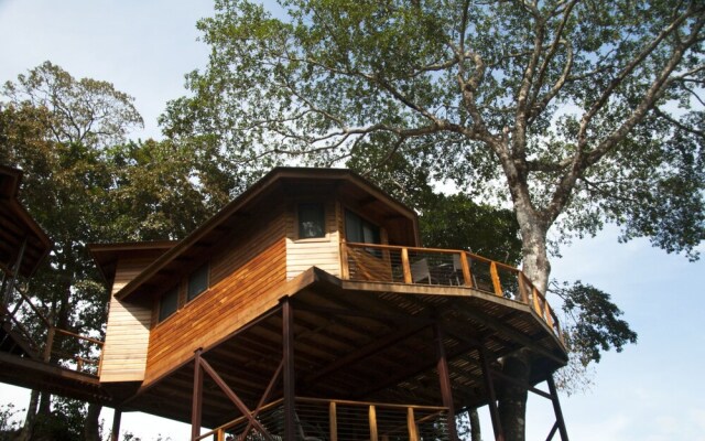 Lucero - Luxury Treehouses
