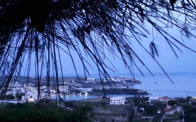 Bellevue Village Apartments Studios