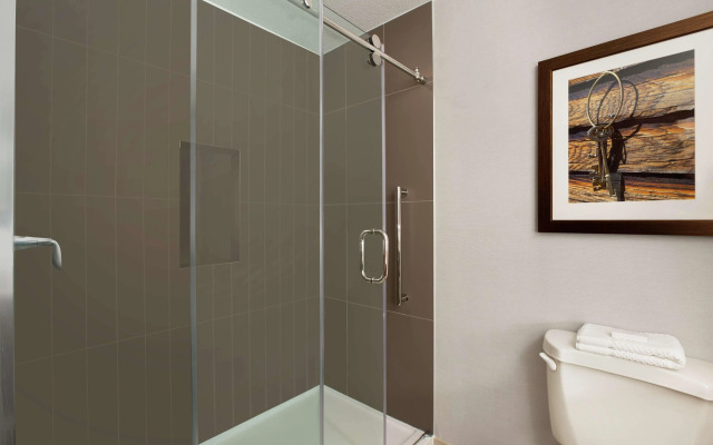 Embassy Suites by Hilton Dallas DFW Airport North