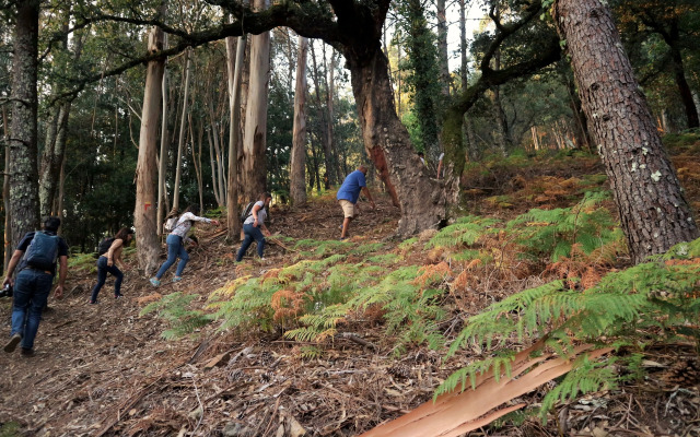 Cerdeira - Home for Creativity