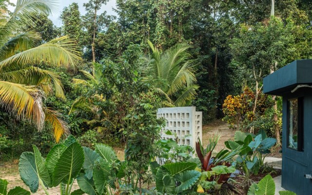 SELVA by DW