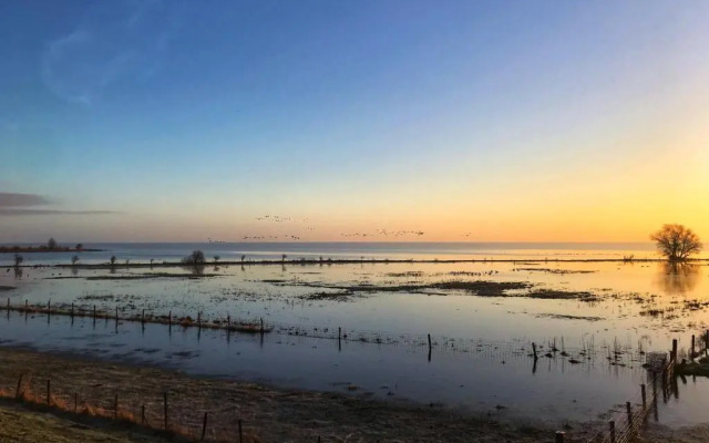 Sonnenplätzchen direkt am IJsselmeer