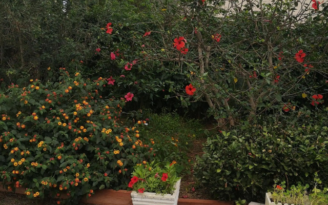 Villa Manuela