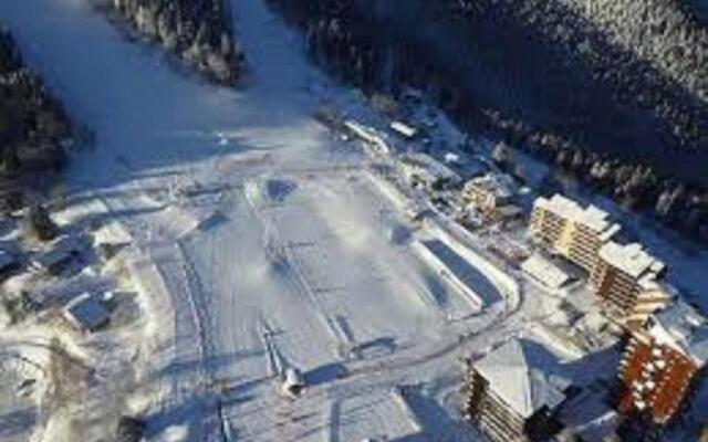 Un Isard au Pied des Pistes