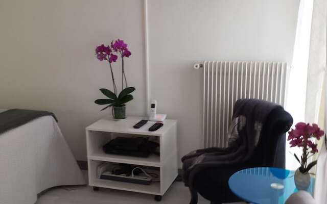 Brand New Studio Cannes Super Center