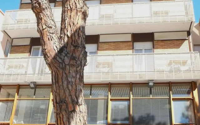 Hotel Pinocchio