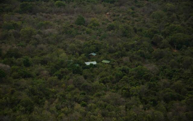 Thick forest sigiriya