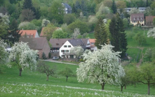 Alter Kohlhof