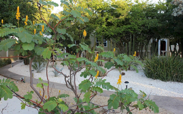 Nature Aruba Deluxe Apartments