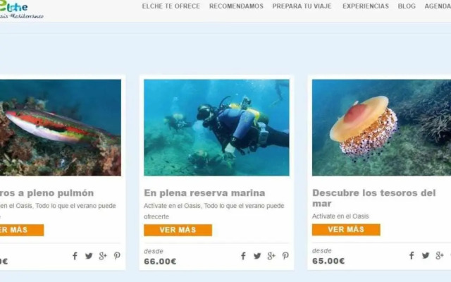 STYLISH ROOMS habitaciones en piso compartido- ELCHE- City Center