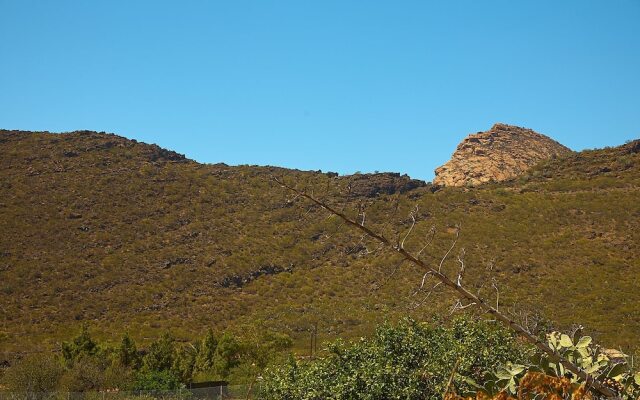 Luxury las Viñas 2