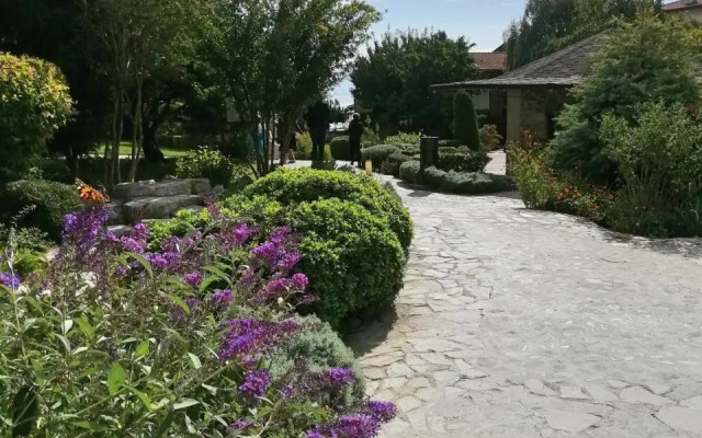 Garden of Eden - Studio