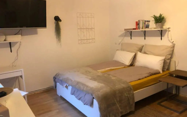 Gemütliche sanierte 1 Zimmer Wohnung mit privatem Parkplatz im Zentrum