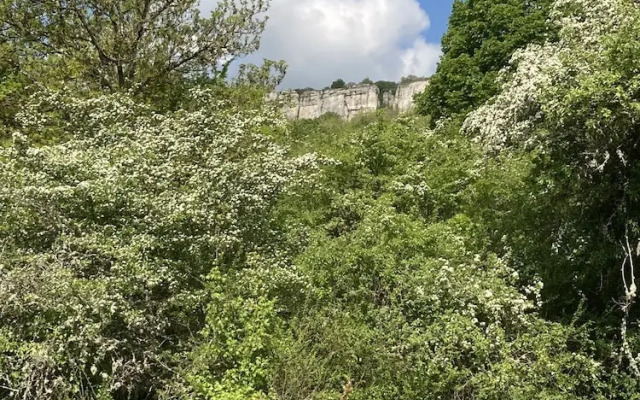 Clos de Belle Roche