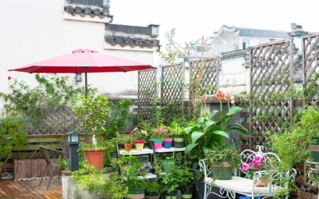 Huangshan Bed and Breakfast