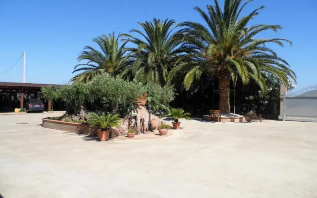 Le Palme