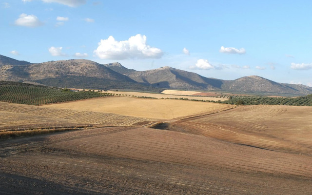 Hotel Cortijo del Marqués