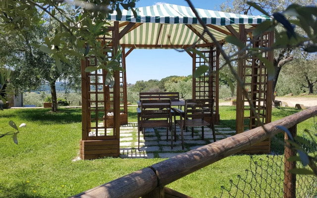 Agriturismo Il Pintello