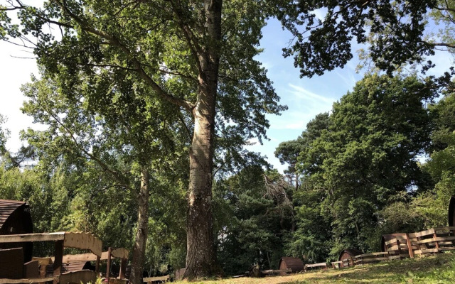 Edinburgh Cabin Camping