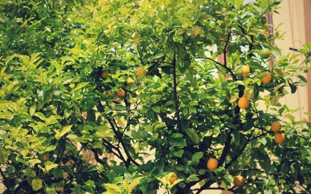 Bed and Breakfast Fiori e Limoni