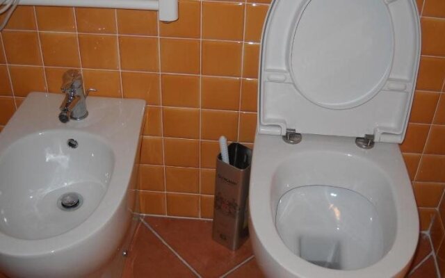 B&B Alce