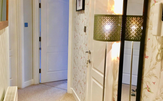 The Little Beech Tree