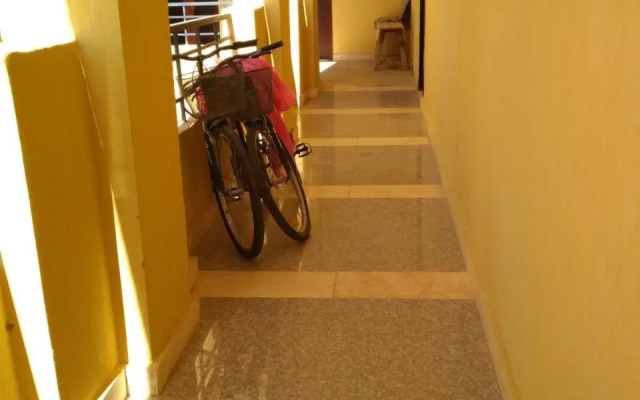 Cozy little studio near Kite station.