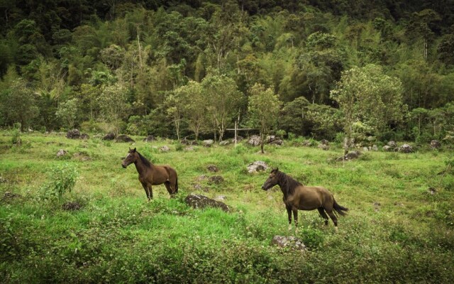 Sacha Urco lodge