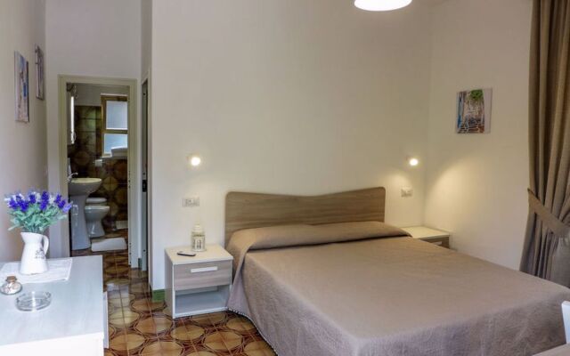 Il Piccolo Nocelleto