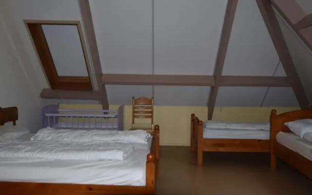 Authentic Farmhouse in Pingjum With Hot Tub