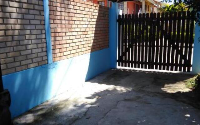 Tartaruga Azul